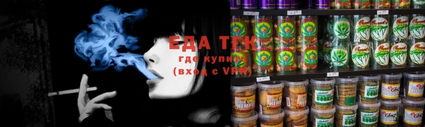 spice Богородицк